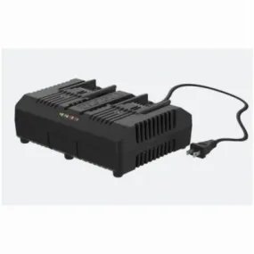 20V Li-Ion Dual Charger