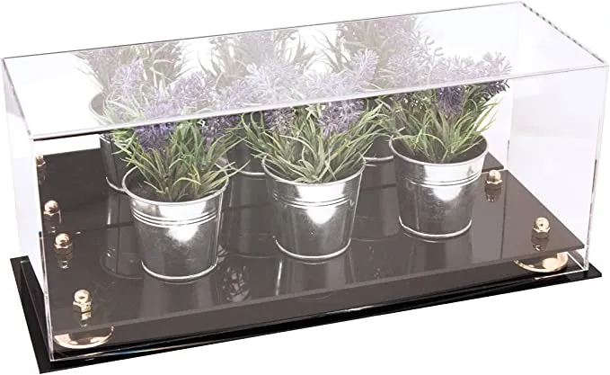 Acrylic Versatile Display Case 19.25 x 8.25 x 8 - Mirror no Wall Mounts (V47/A103)