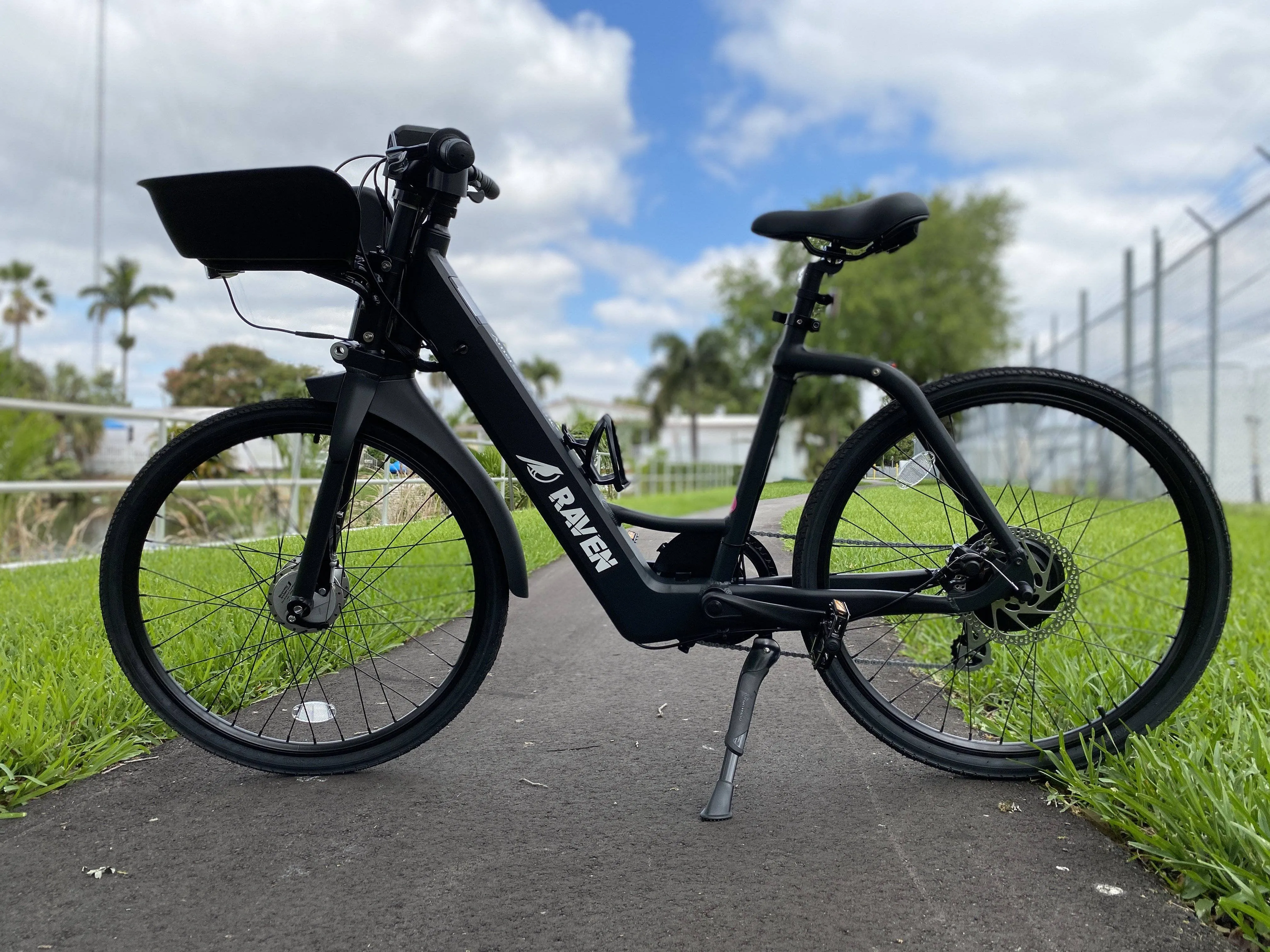 American Electric 36V 350W Raven Step Through Commuter