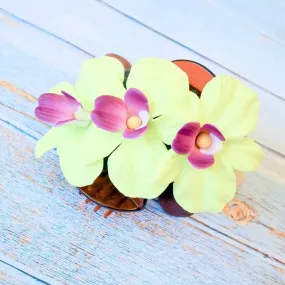 Green Happy Orchid Hawaiian Flower Hair Clamp