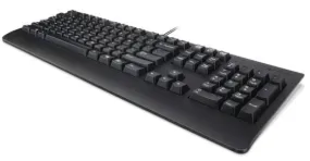 Keyboard Usb Trdtnl Kb Bk 189