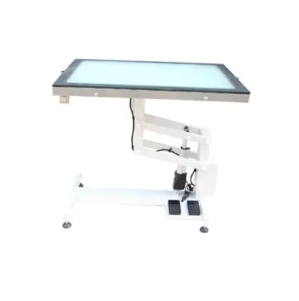 LED Medium BackLit Table