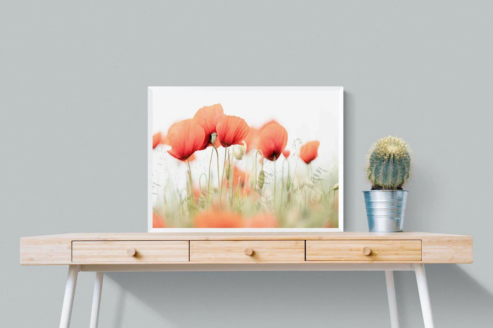 Light Poppies