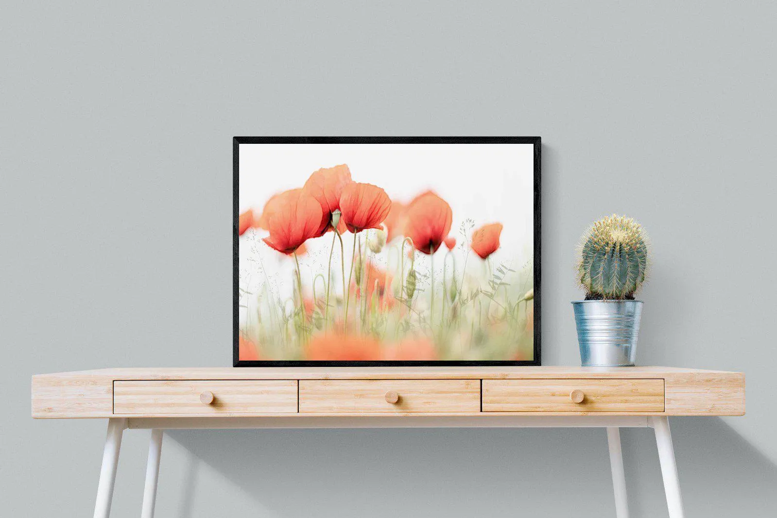 Light Poppies