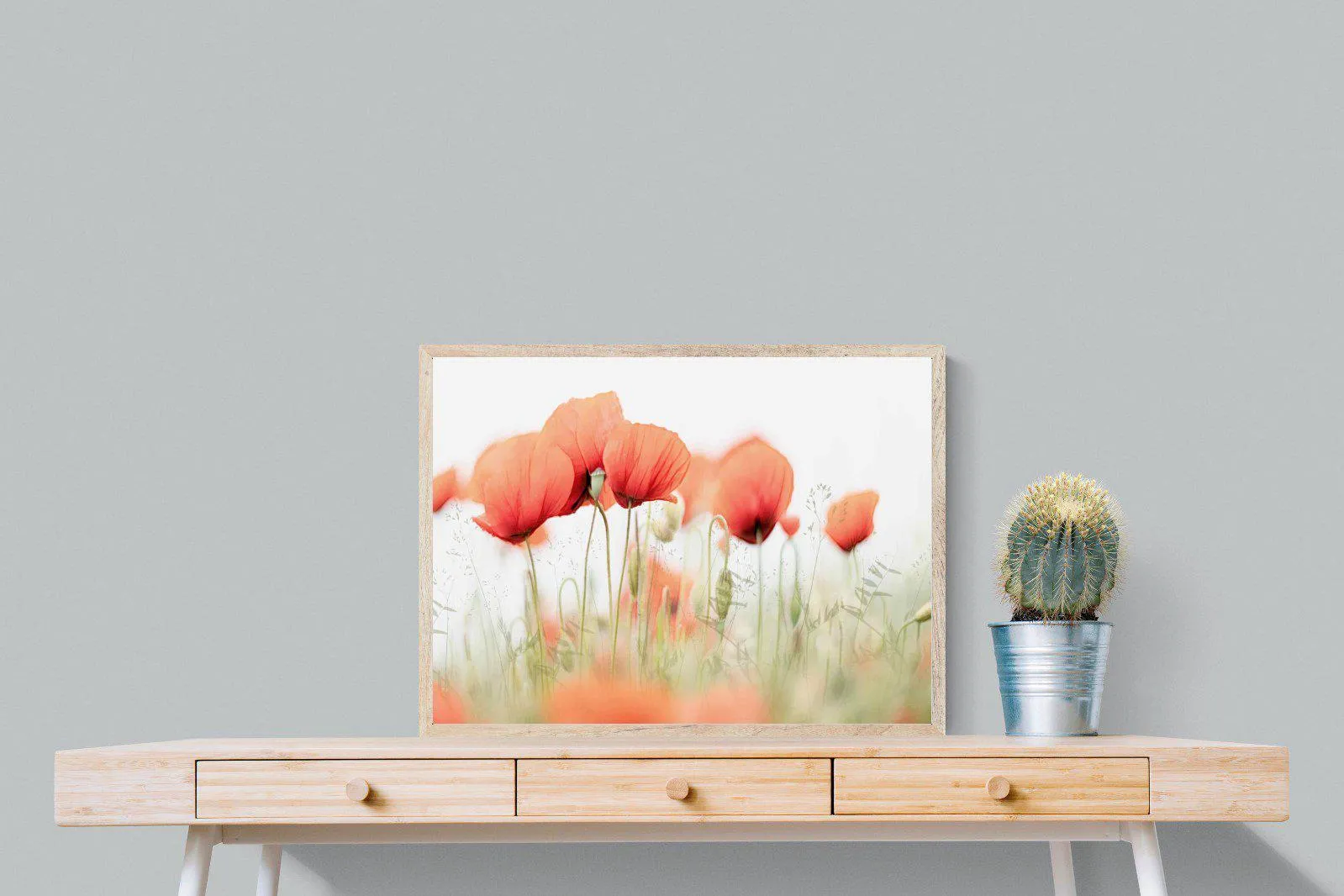 Light Poppies