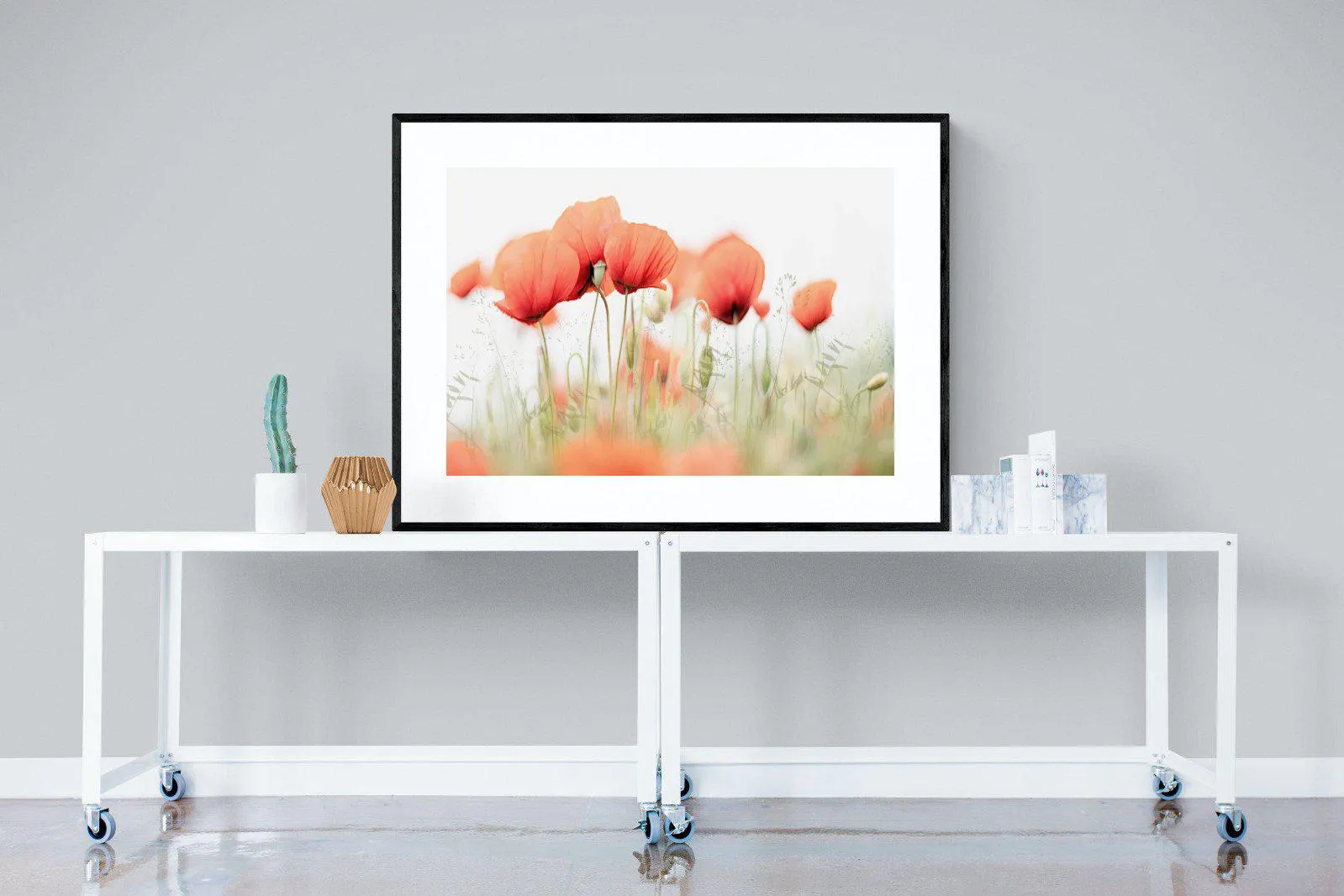 Light Poppies