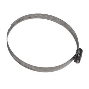 Pentair Hose Clamp 476168Z