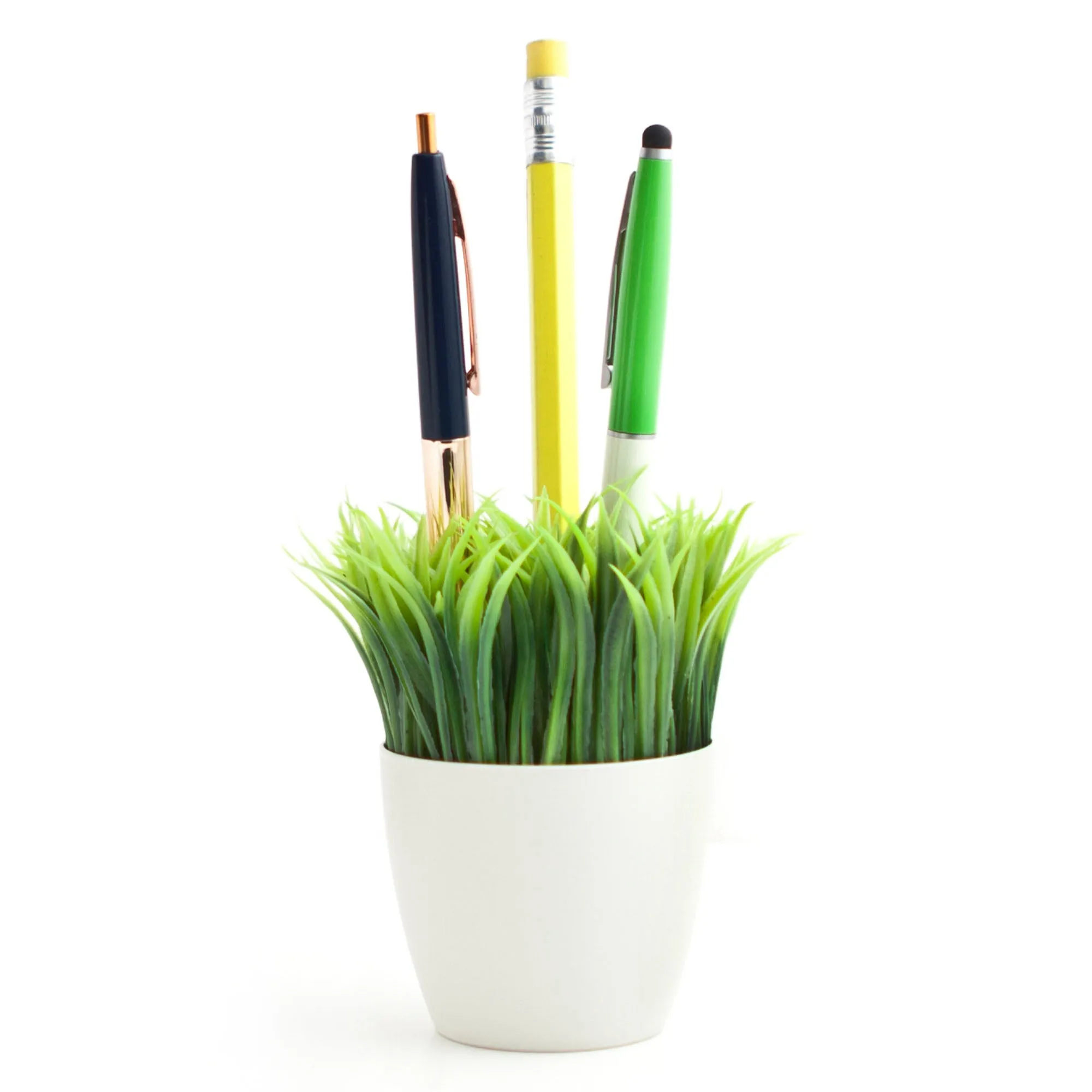 Potted Pen Stand