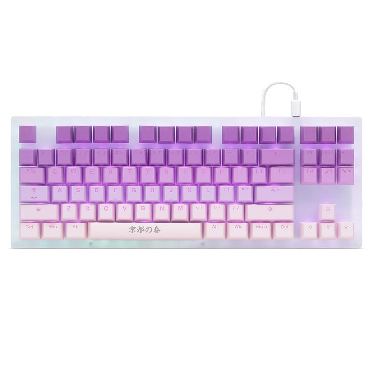 taihao Spring in Kyoto pbt double shot keycaps for diy gaming mechanical keyboard Backlit Caps oem profile light through ISO UK